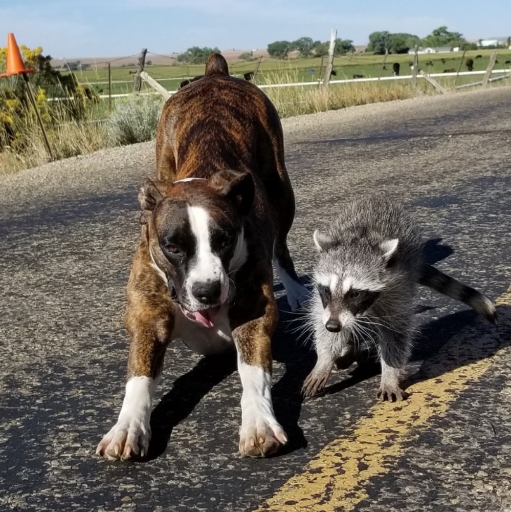 Meet your Posher, Charmaine